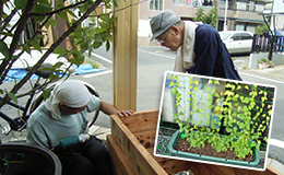 たがらの家の日常の様子2