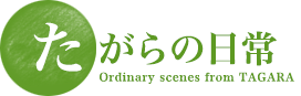 たがらの日常